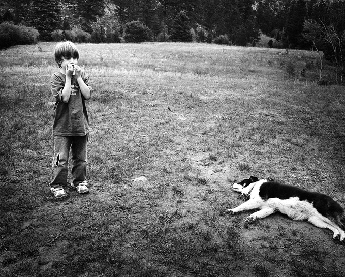 02-Personal_Dog_TLFamily